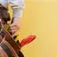 Handyman repair service in Norfolk, VA for home fixes and improvements