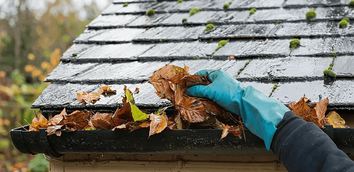 Gutter cleaning technician clearing wet leaves from roof gutters in Norfolk, VA